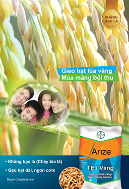 ARIZE TEJ Vàng - Bayer CropScience Việt Nam